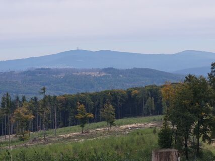 Zdjęcie z Manfred Korekt wzdłuż trasy