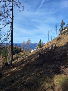 Fotografija s spletne strani Dagmar Hofer na poti