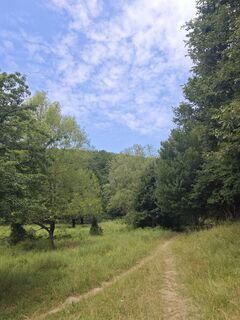 Photo de Katona Ferk Mariann le long du parcours