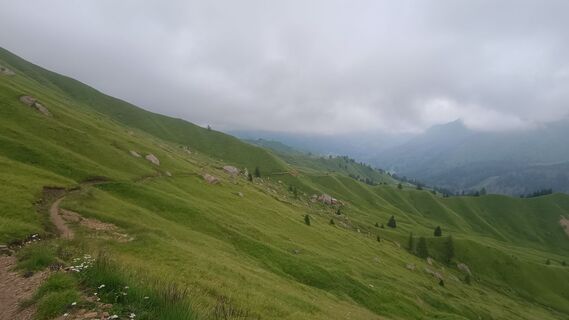 Foto von Baumi entlang der Tour