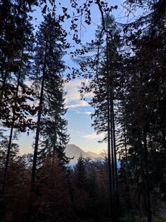 Foto von Michi Moder entlang der Tour