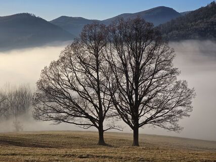 Fotografia z TwilightTea na trase