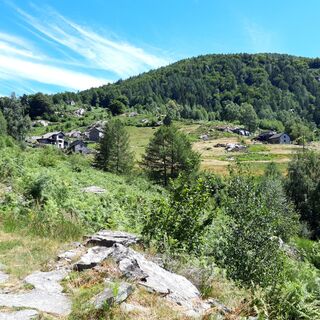 Mulegn