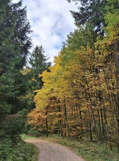 Foto de Christian Krebs a lo largo del recorrido