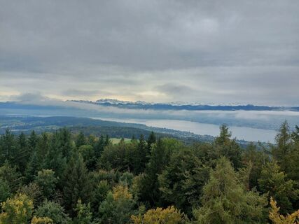 Foto von Sabrina Hackel entlang der Tour