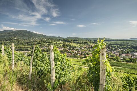 Römerberg