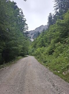 Foto von Miha Gros entlang der Tour