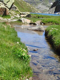 An der Rheinquelle