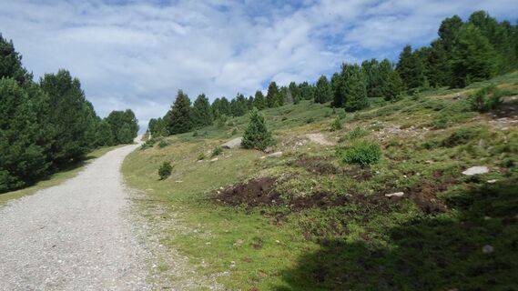 Weg zur Raschötzhütte