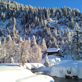 Tour mit Schneeschuhen Campra-Camperio