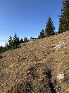 Foto von Peda entlang der Tour