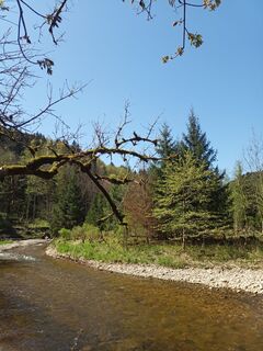Foto von Laifernorbert entlang der Tour