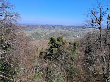Fotografia z Billharz Wilhelm na trase