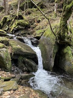 Fotografia z Tom_Pils 2700 na trase