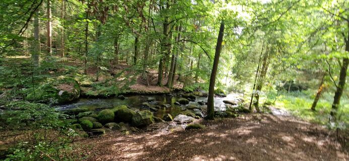 Foto von Zsuzsa Szàntó entlang der Tour