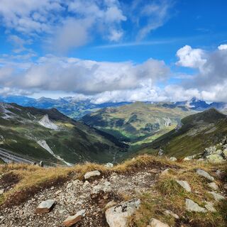 Foto von Dutch Boterbloem entlang der Tour