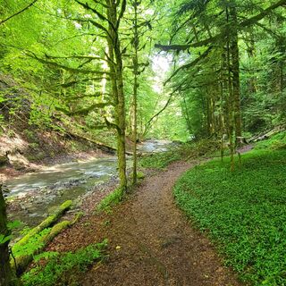 Schwarzwassergraben - Schwarzenburg-Köniz Trailrun