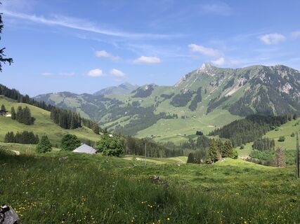 Foto von Peter Bolliger entlang der Tour
