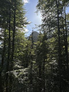 Fotografija s spletne strani Vero Hochreiner na poti