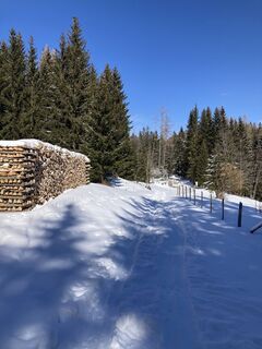 Foto von Christian Hoffelner entlang der Tour