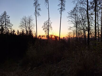 Foto von Gerald Wang entlang der Tour