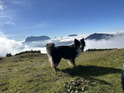 Foto von Peter Rübel entlang der Tour