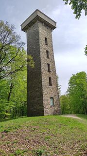 Fotografia z bergwolfi na trase