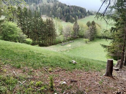 Foto von Valeria Voit 1 entlang der Tour