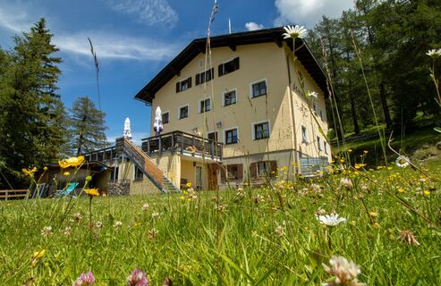 Zammer Schihütte_web