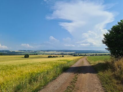 Blick vom Schneckenberg