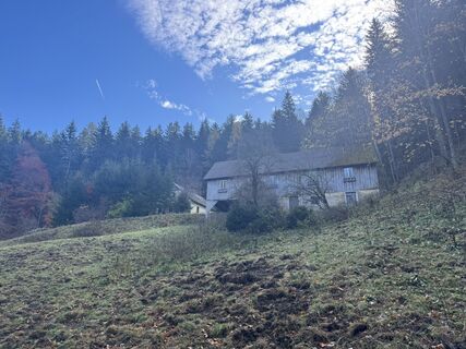 Fotografia z Firma Pool1 Hackl Roman na trase