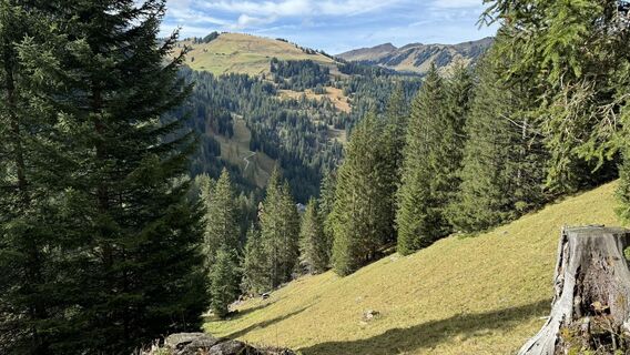 Fotó a peter_oe honlapról a túra során