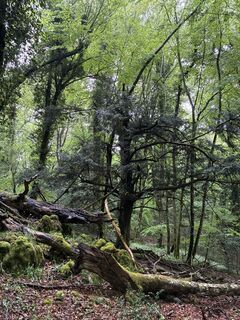 Photo de MarcoBO1967 le long du parcours