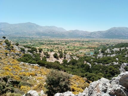 Photo de MopsBiene le long du parcours