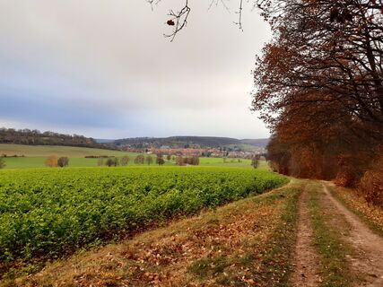 Wanderung Lamspringe Großer Heber