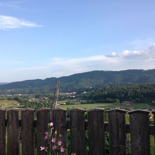 Bei einem Buschenschank auf der Schilcherweinstraße in Bad Schwanberg/Aichegg