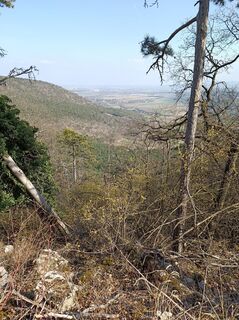 Foto von Bergpirat entlang der Tour
