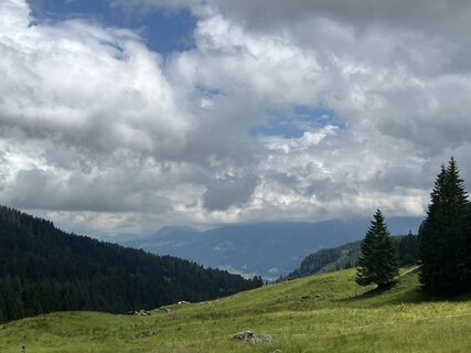 Fotografia z Torsten Heinrich na trase