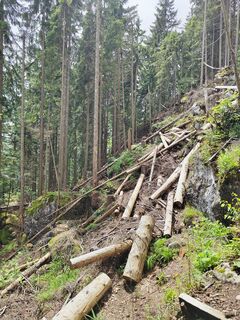 Photo de ReginaSt le long du parcours