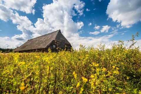 Schafstall Weseler Heide
