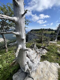Foto da Lillo Condello lungo il tour