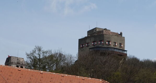Blick auf die Burg Greifenstein