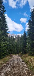 Fotografia z Mattia Tateo na trase