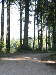 Abzweigung Feuerstelle