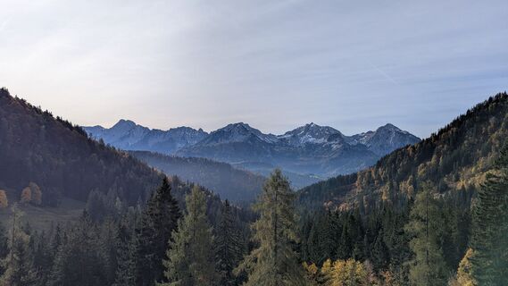 Foto von Ziegler Em1304 entlang der Tour