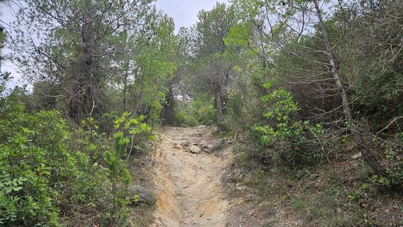 Steilstelle vorn Camp