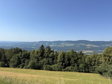 Fotografija s spletne strani Hannes Hirschegger na poti