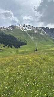 Foto von Corina Matzinger entlang der Tour