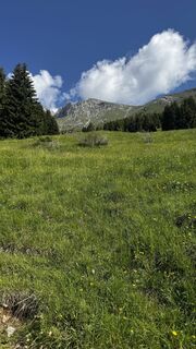 Fotografija s spletne strani ROBERTO BONIOTTI na poti