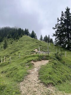Foto von justasimpleguy entlang der Tour